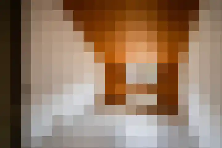 Eikenlaan 32 Langenboom thumbnail 32