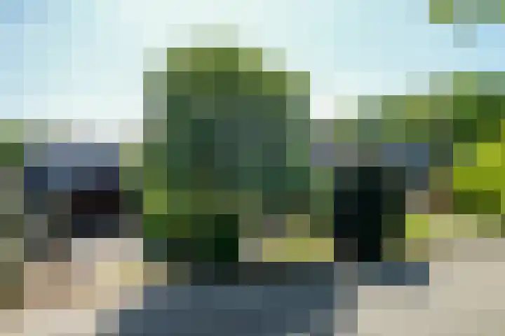 Eikenlaan 32 Langenboom thumbnail 4