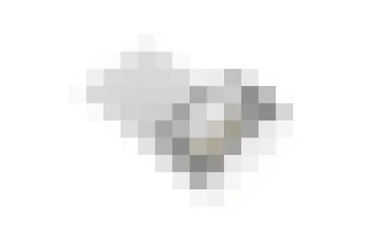 Eikenlaan 32 Langenboom thumbnail 44