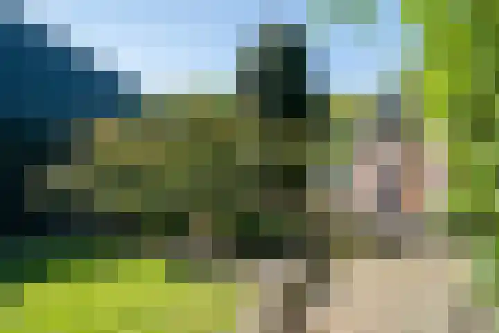 Eikenlaan 32 Langenboom thumbnail 8