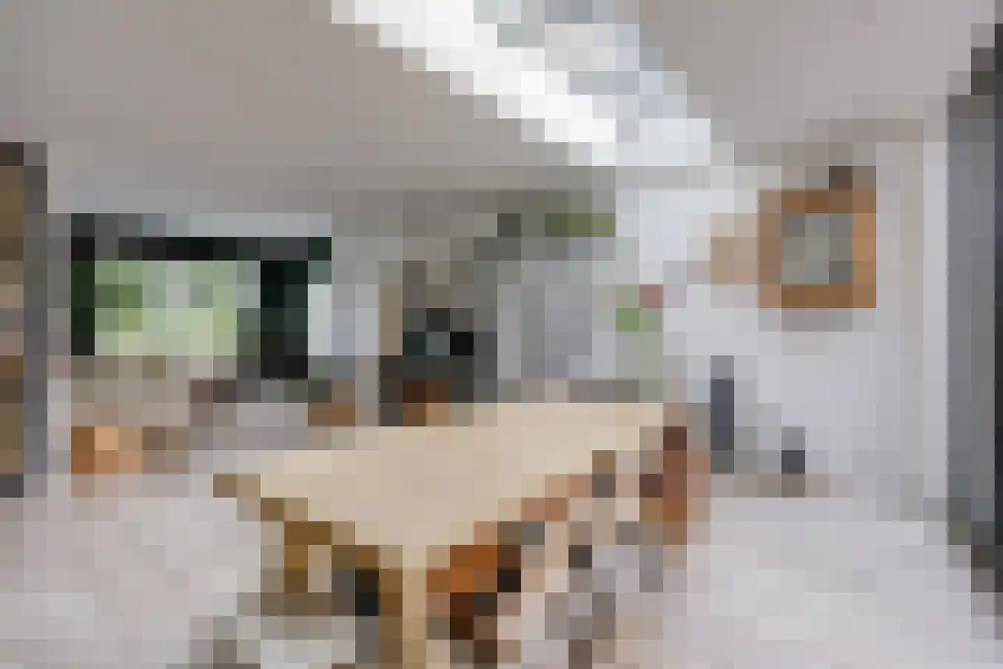 Eikenlaan 32 Muiderberg thumbnail 11