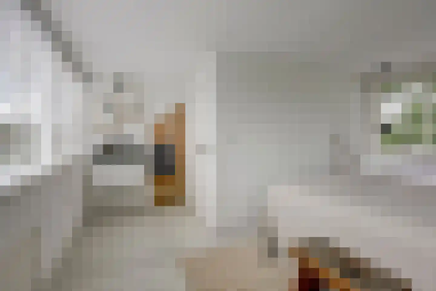 Eikenlaan 32 Muiderberg thumbnail 28