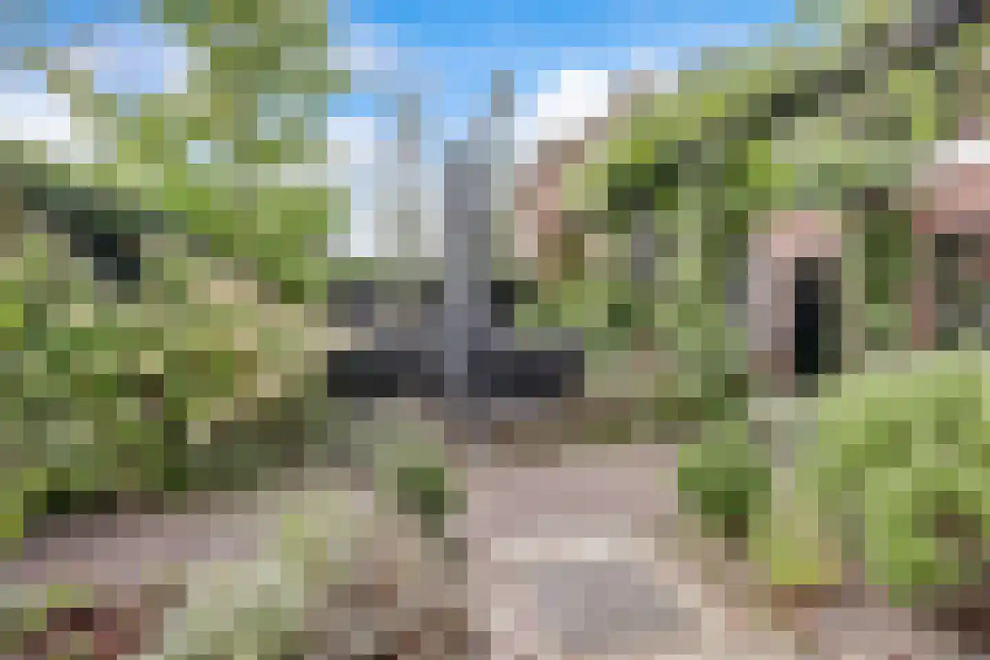 Eikenlaan 32 Muiderberg thumbnail 36