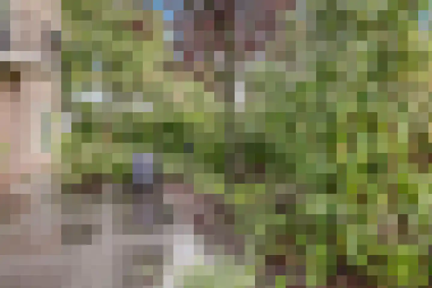 Eikenlaan 32 Muiderberg thumbnail 37