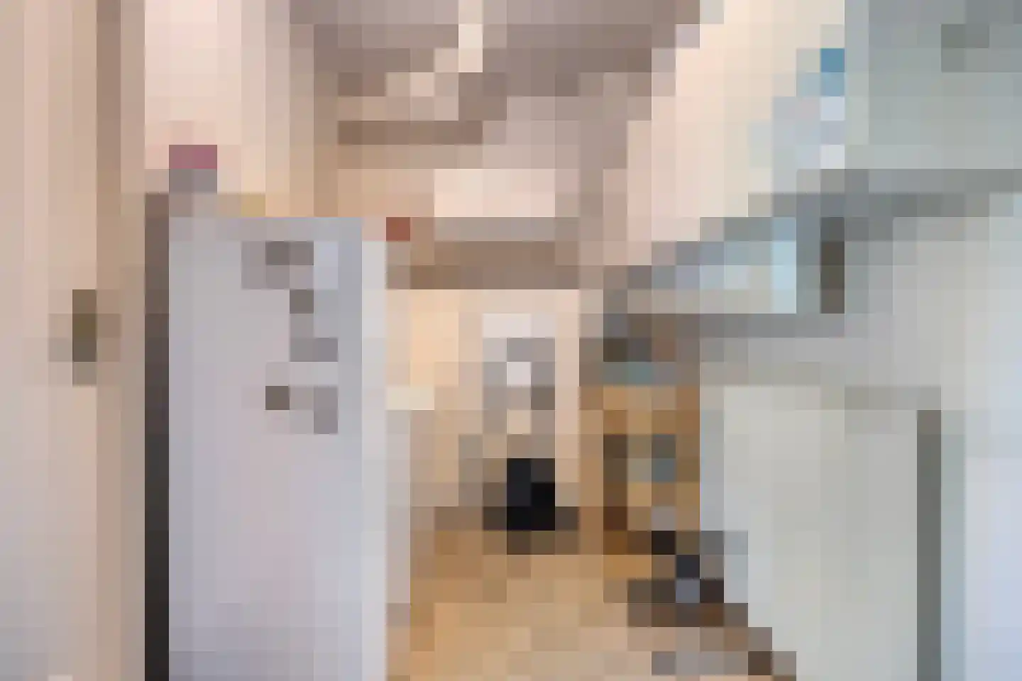 Eikenlaan 32 Oostkapelle thumbnail 17