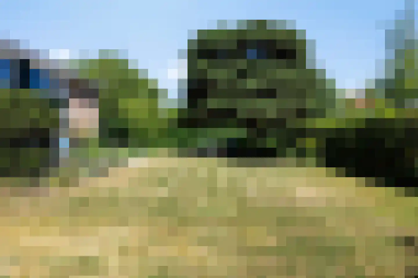 Eikenlaan 32 Oostkapelle thumbnail 36