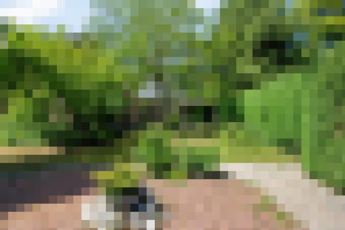 Eikenlaan 32 Oostkapelle thumbnail 38