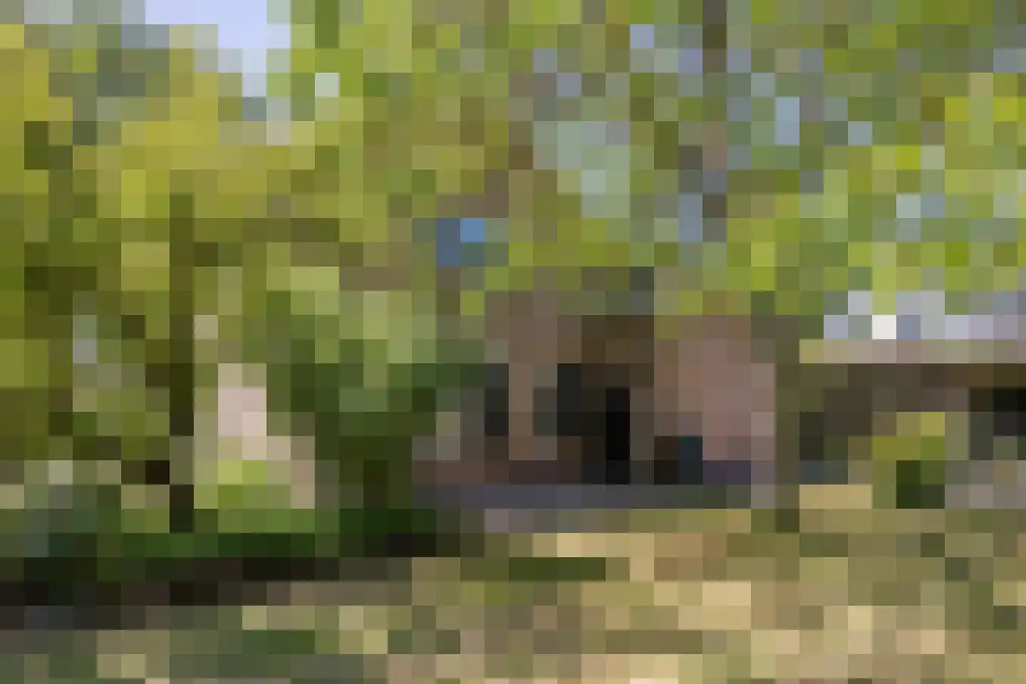Eikenlaan 32 Oostkapelle thumbnail 40