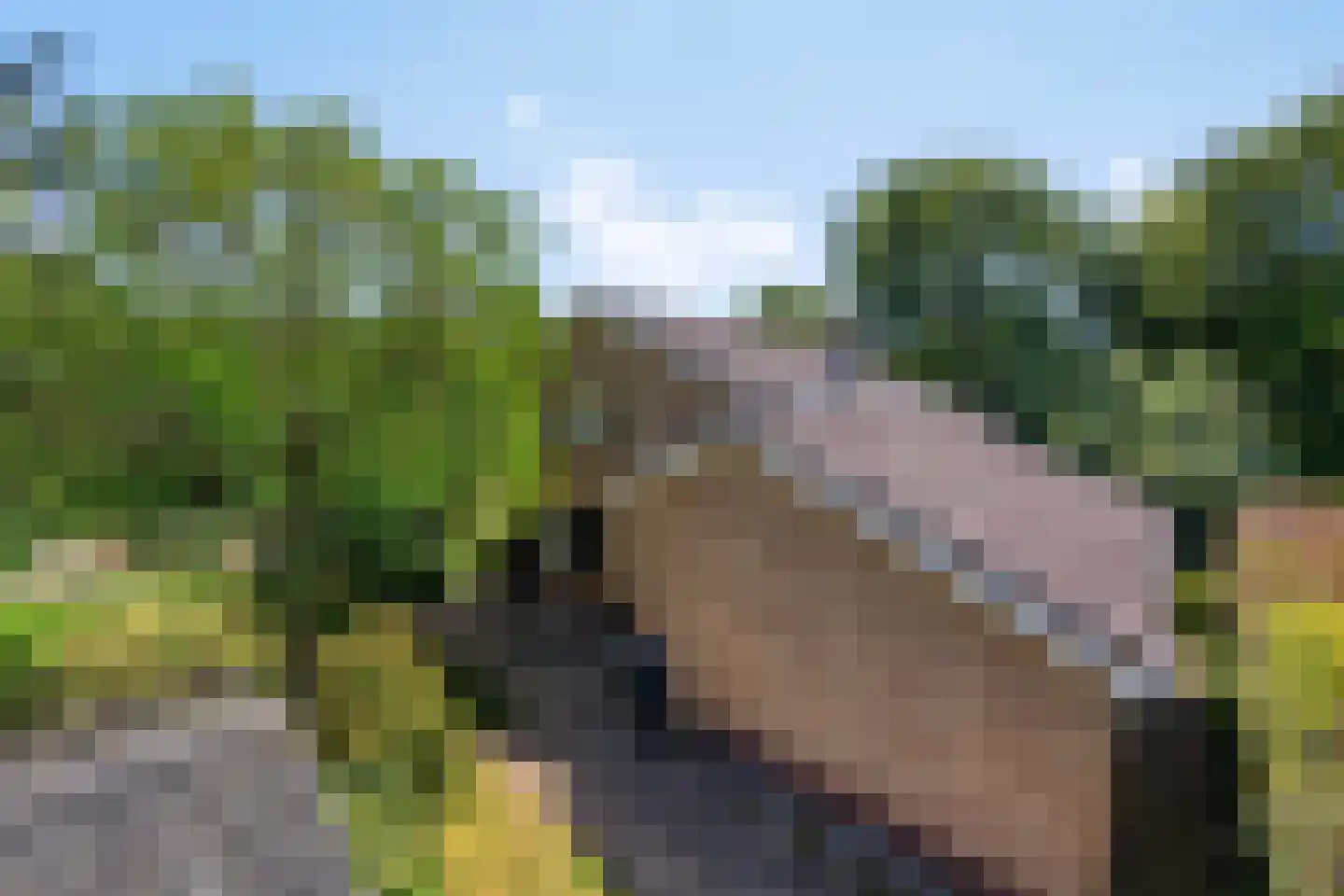Eikenlaan 32 Oostkapelle thumbnail 41