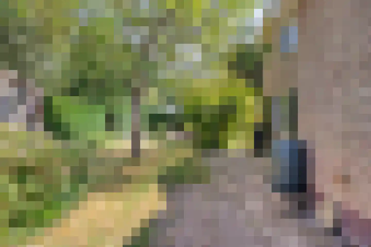 Eikenlaan 32 Oostkapelle thumbnail 42