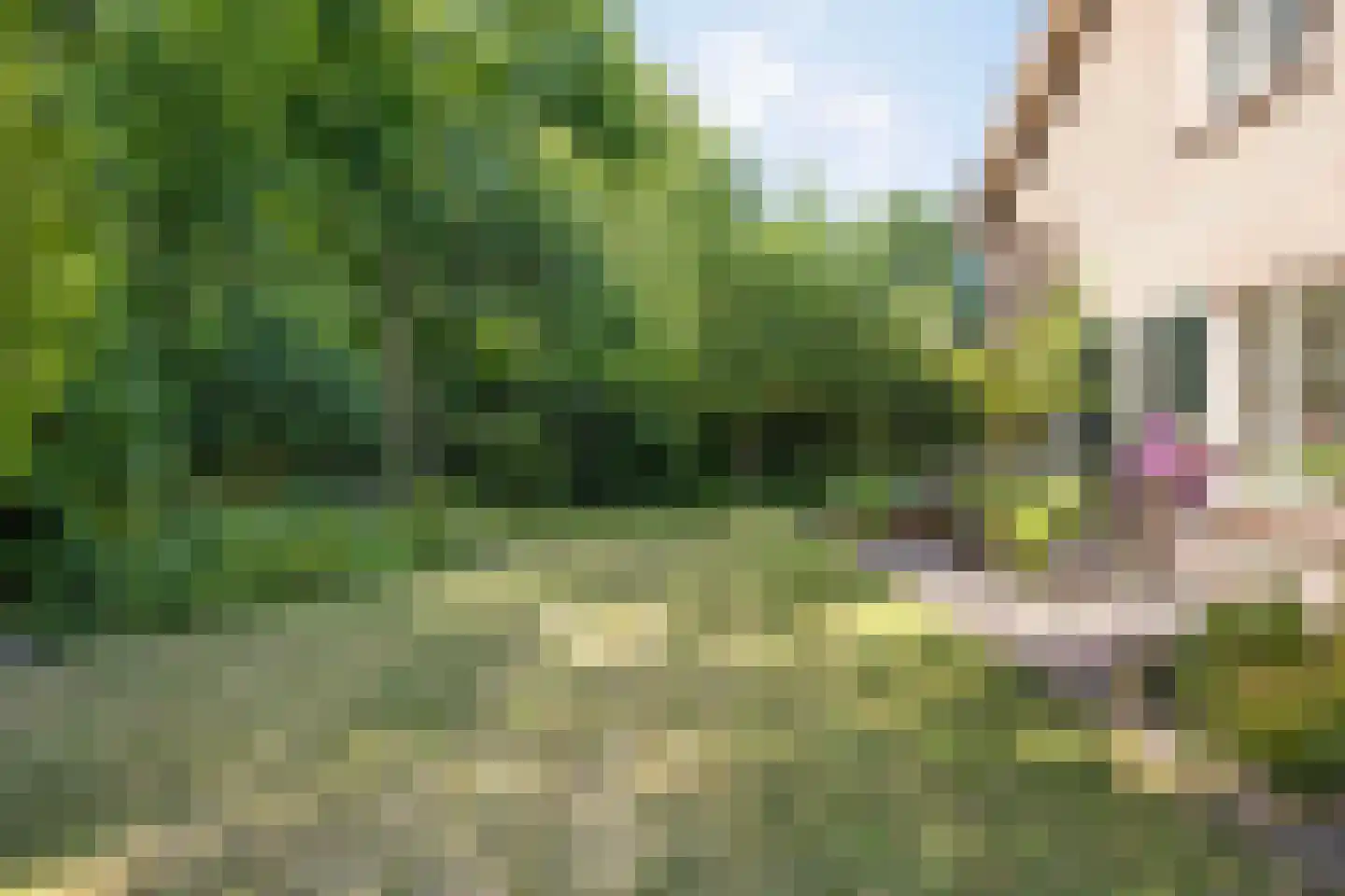 Eikenlaan 32 Oostkapelle thumbnail 44