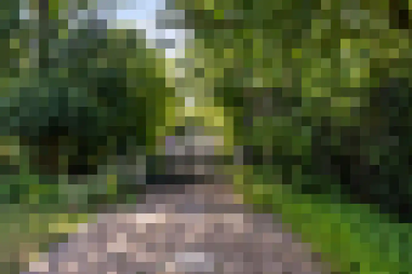 Eikenlaan 32 Oostkapelle thumbnail 46