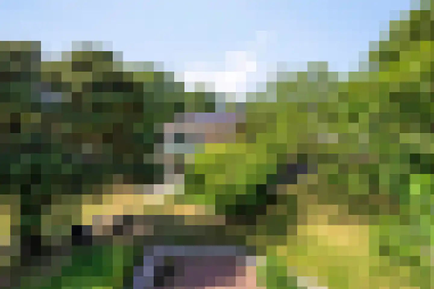 Eikenlaan 32 Oostkapelle thumbnail 5