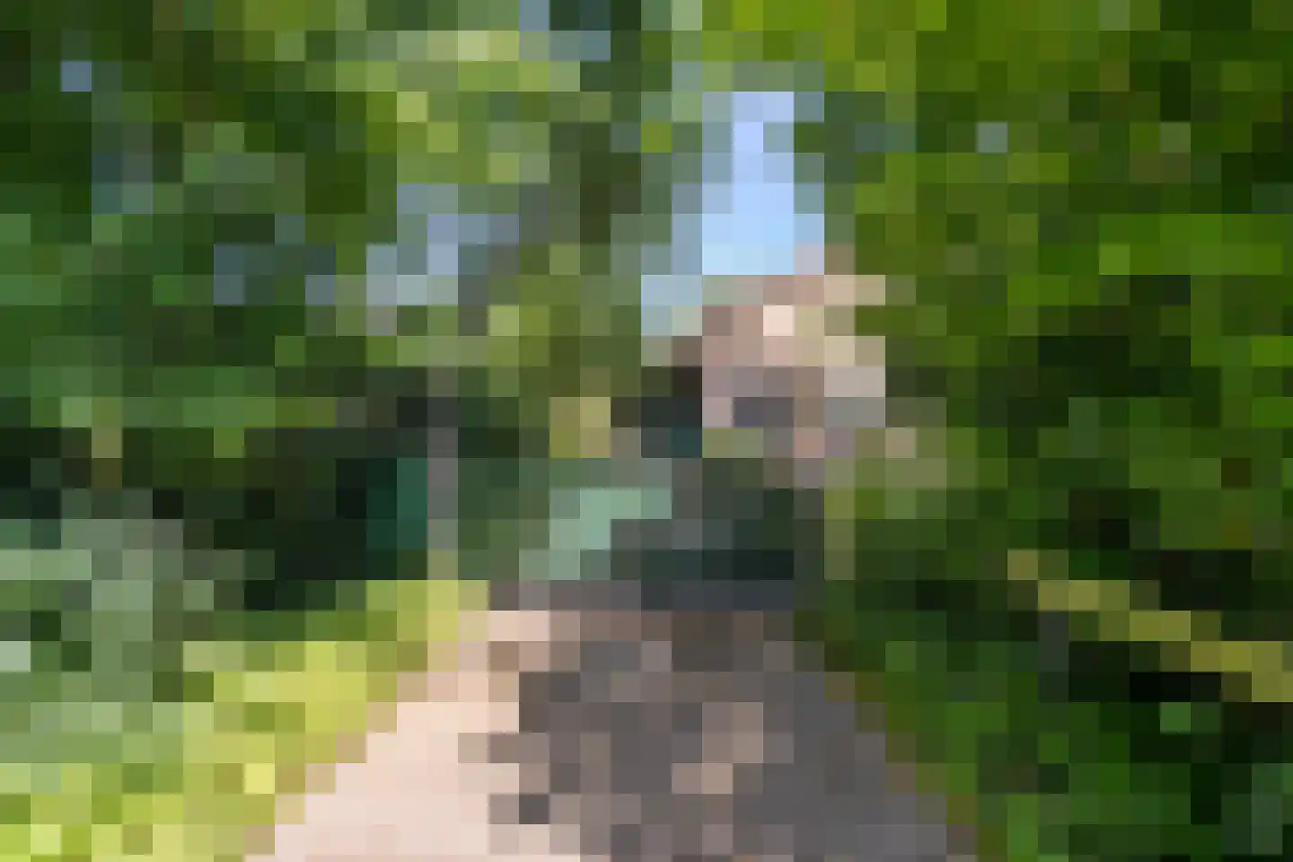 Eikenlaan 32 Oostkapelle thumbnail 6