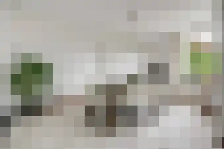 Eikenlaan 32 Papendrecht thumbnail 13