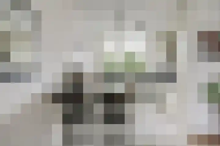 Eikenlaan 32 Papendrecht thumbnail 16