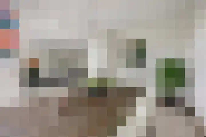 Eikenlaan 32 Papendrecht thumbnail 17