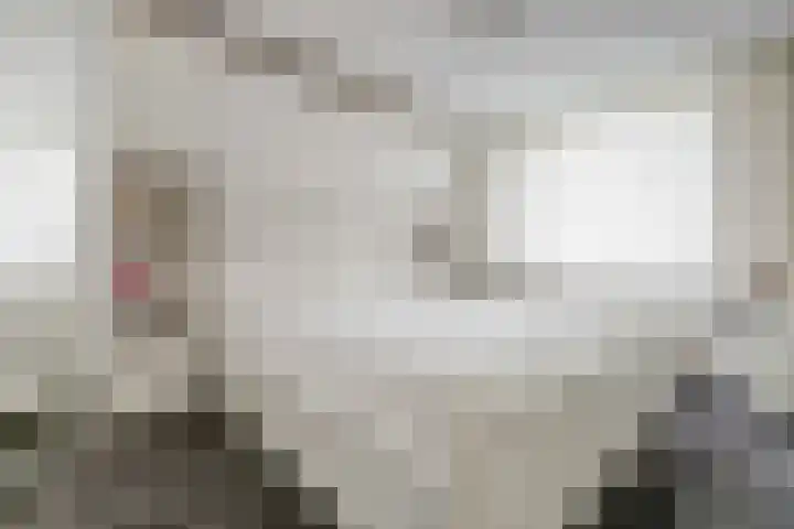 Eikenlaan 32 Papendrecht thumbnail 22