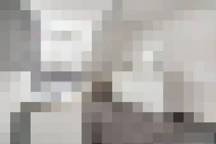 Eikenlaan 32 Papendrecht thumbnail 26