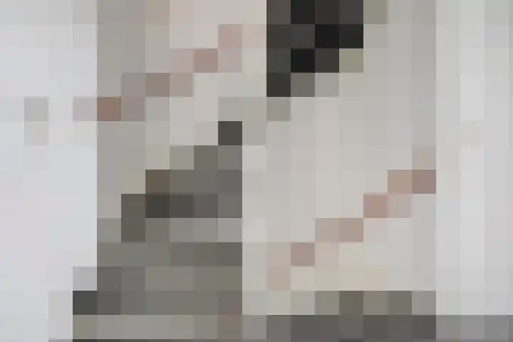 Eikenlaan 32 Papendrecht thumbnail 34