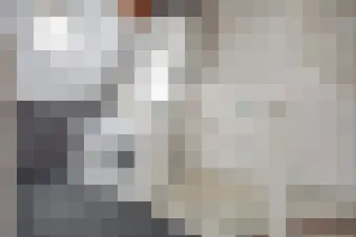 Eikenlaan 32 Papendrecht thumbnail 37