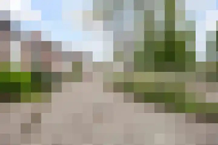 Eikenlaan 32 Papendrecht thumbnail 47