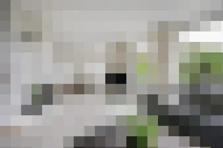 Eikenlaan 32 Papendrecht thumbnail 8