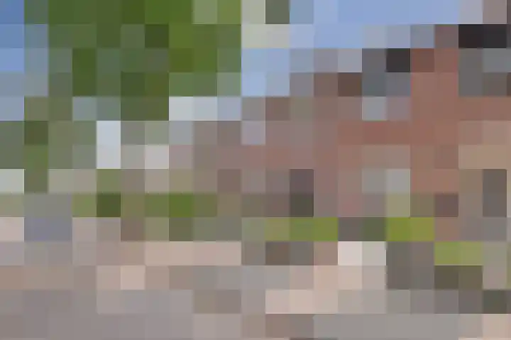 Eikenlaan 32 's-Gravenzande thumbnail 31