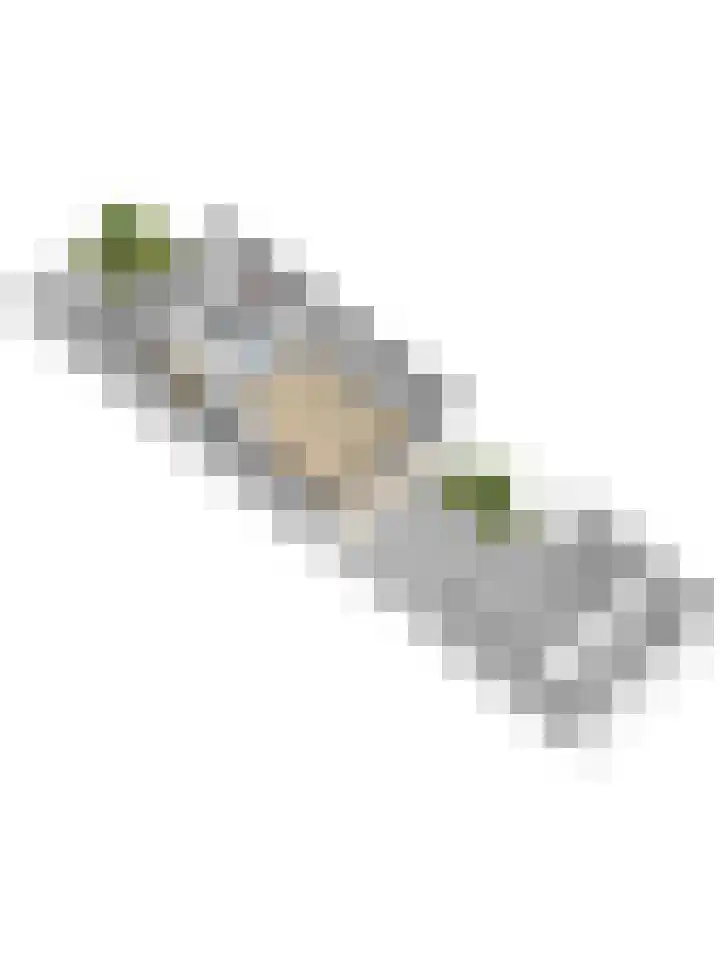 Eikenlaan 32 's-Gravenzande thumbnail 43