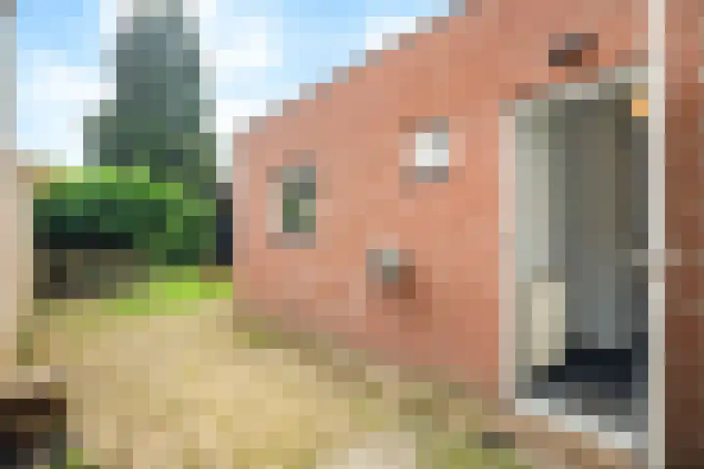 Eikenlaan 34 Hoogland thumbnail 31