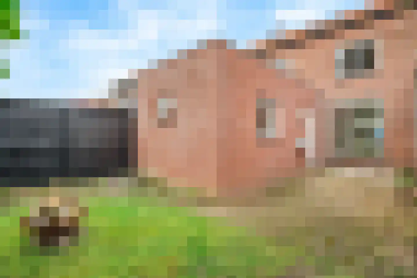 Eikenlaan 34 Hoogland thumbnail 32