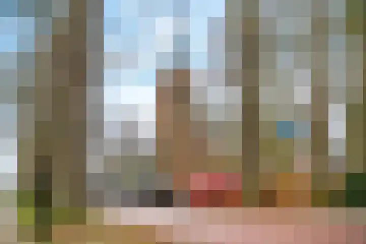 Eikenlaan 34 Hoogland thumbnail 42