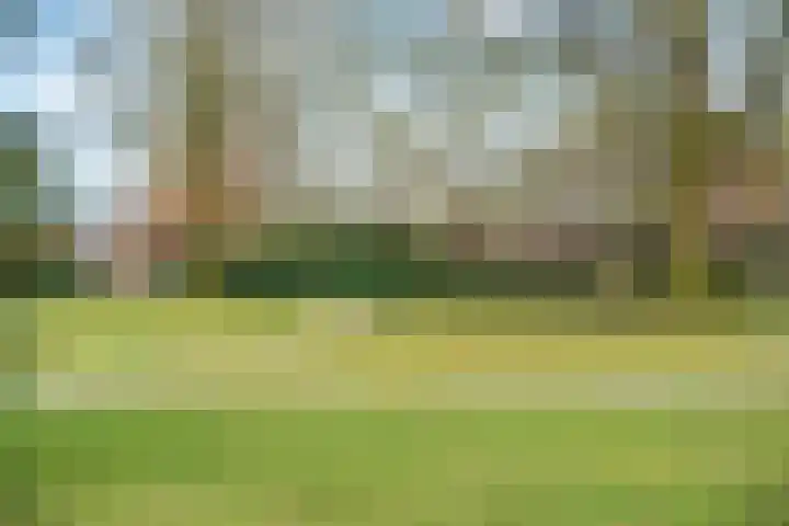 Eikenlaan 34 Hoogland thumbnail 43