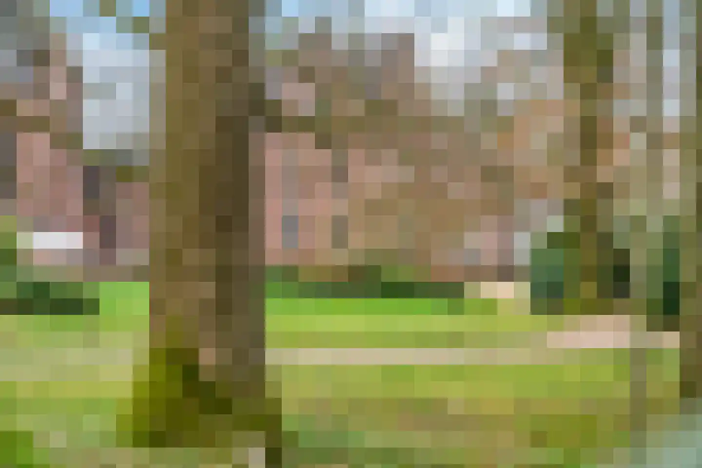 Eikenlaan 34 Hoogland thumbnail 44