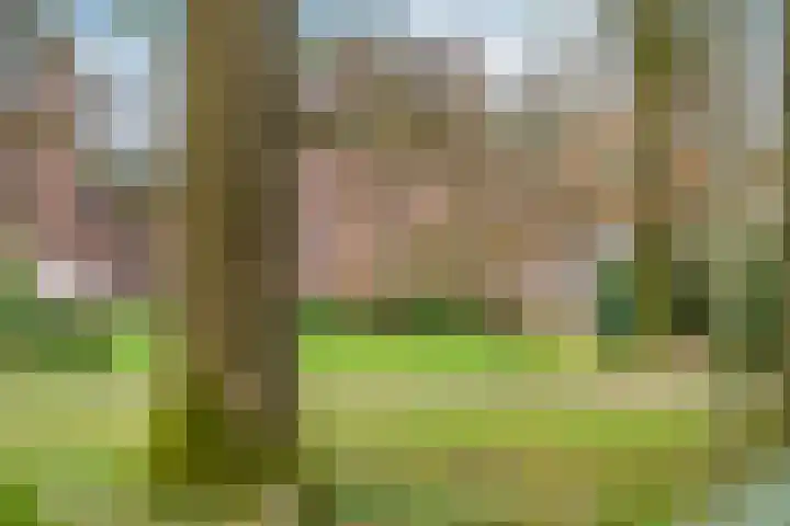 Eikenlaan 34 Hoogland thumbnail 44