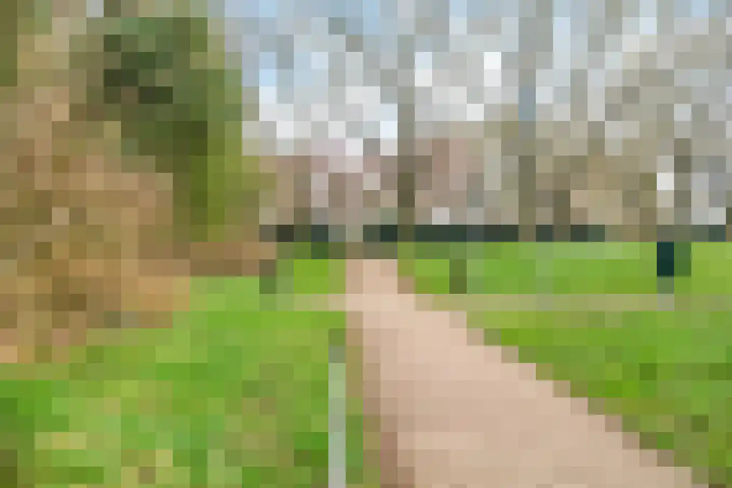 Eikenlaan 34 Hoogland thumbnail 46