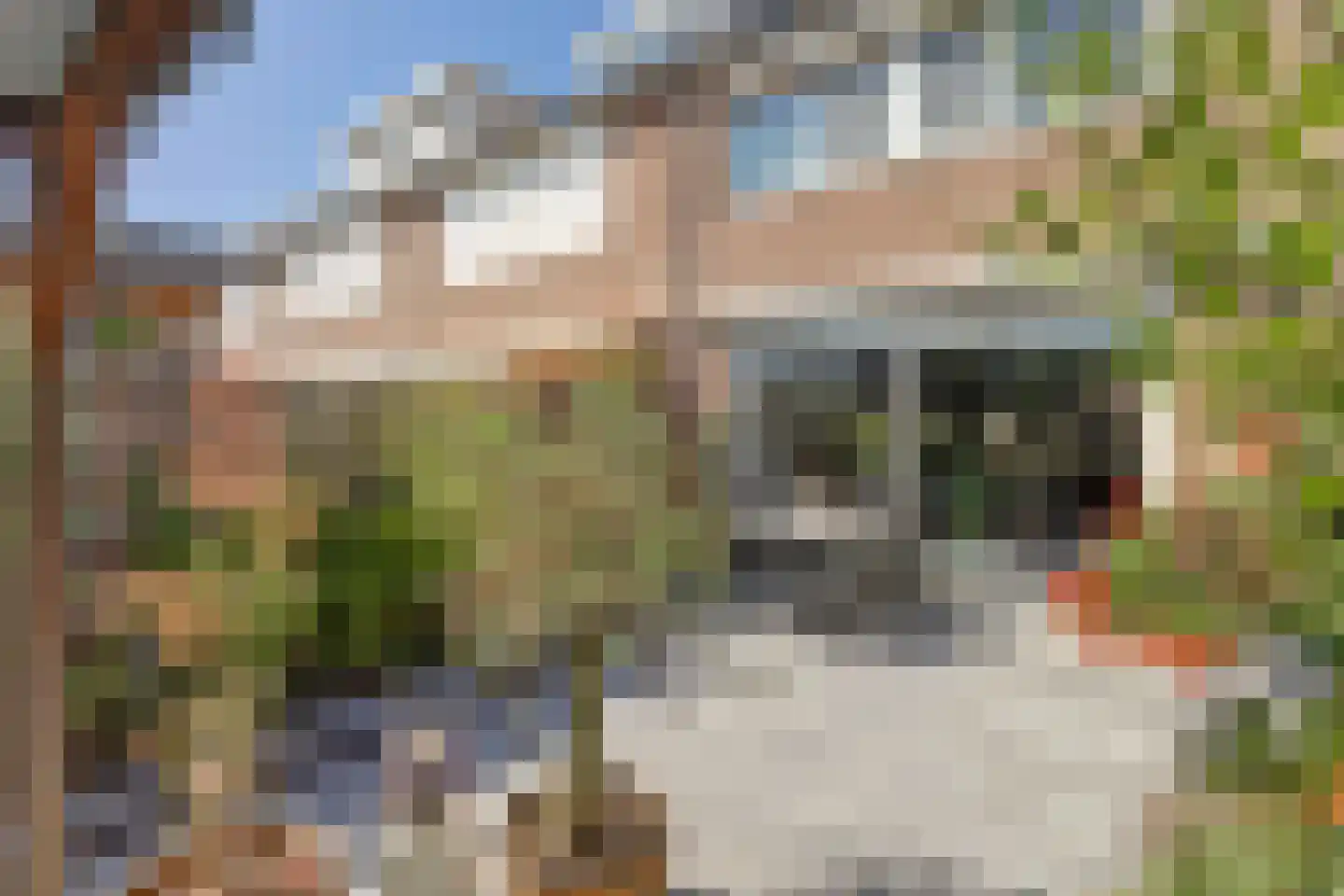 Eikenlaan 34 's-Gravenzande thumbnail 26