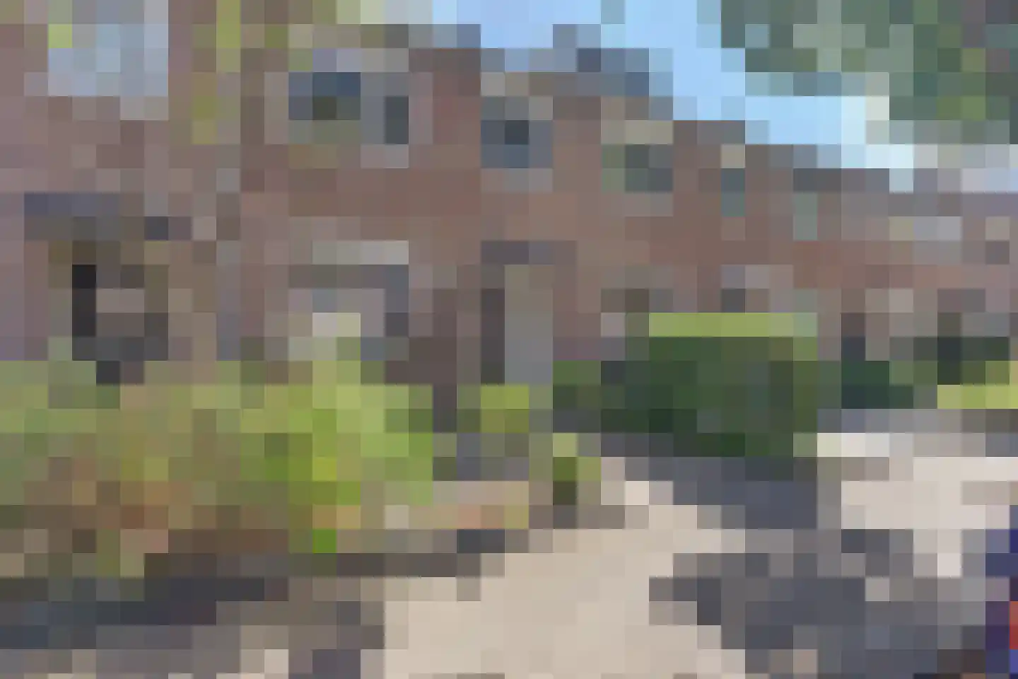 Eikenlaan 34 's-Gravenzande thumbnail 27