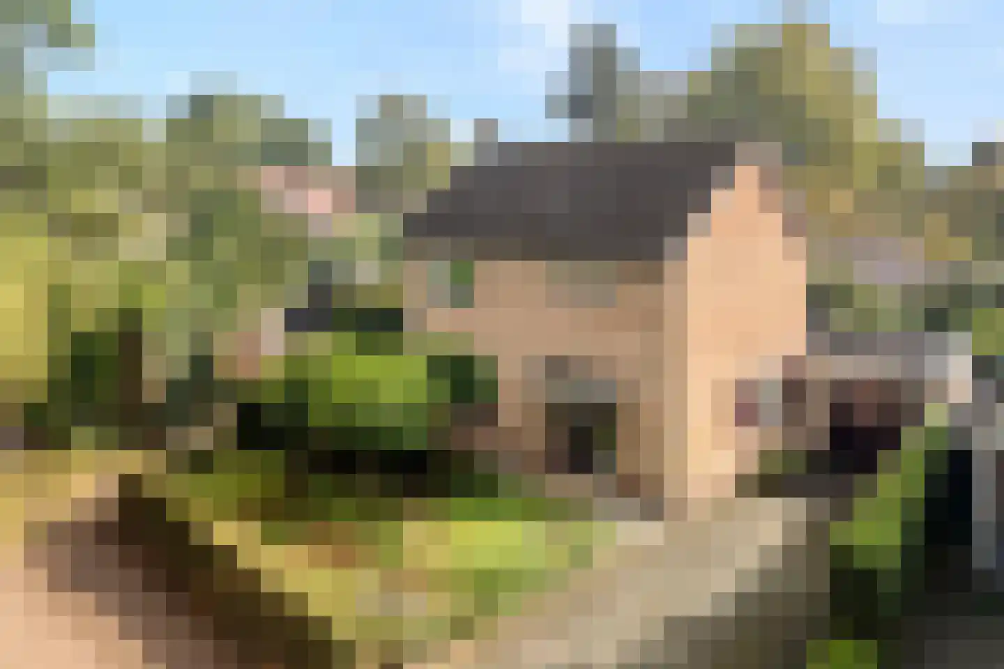 Eikenlaan 35 Ermelo thumbnail 36