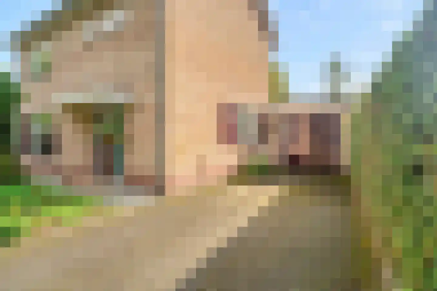 Eikenlaan 35 Ermelo thumbnail 39