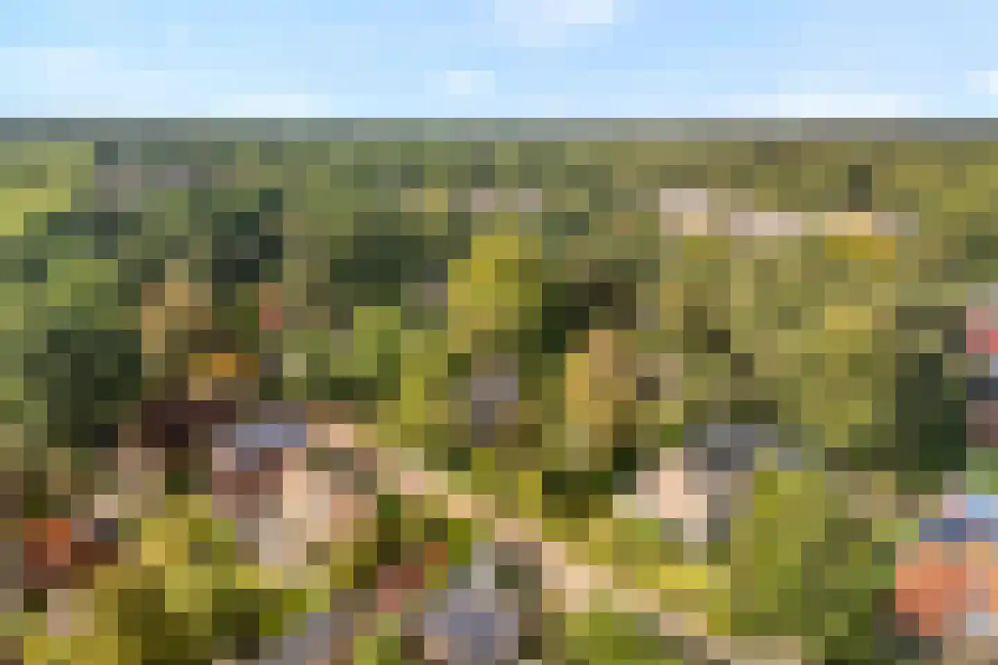 Eikenlaan 35 Ermelo thumbnail 40