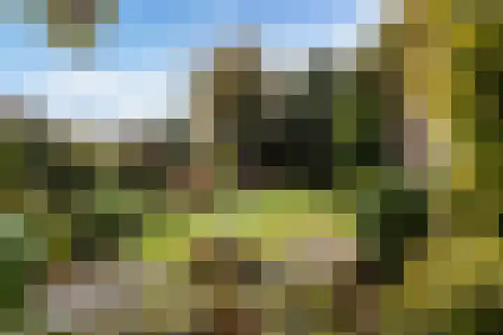 Eikenlaan 35 Renswoude thumbnail 29