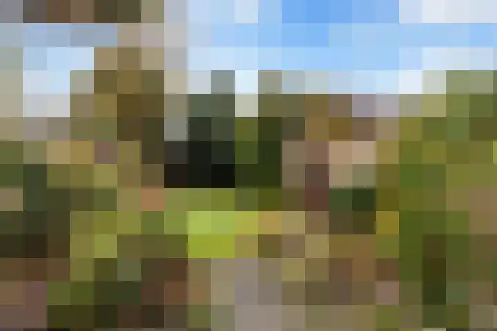 Eikenlaan 35 Renswoude thumbnail 30