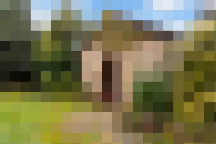 Eikenlaan 35 Renswoude thumbnail 31