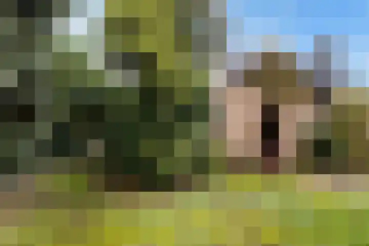 Eikenlaan 35 Renswoude thumbnail 32