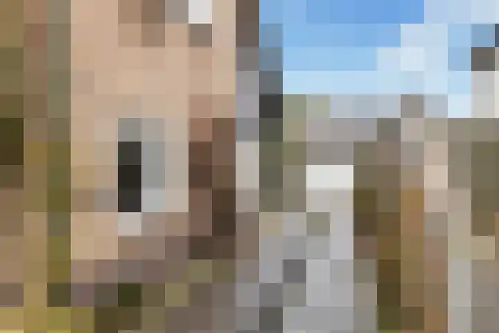 Eikenlaan 35 Renswoude thumbnail 34