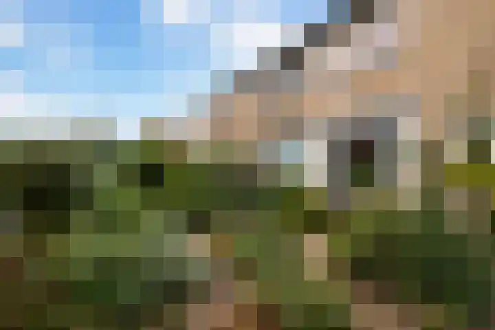 Eikenlaan 35 Renswoude thumbnail 35