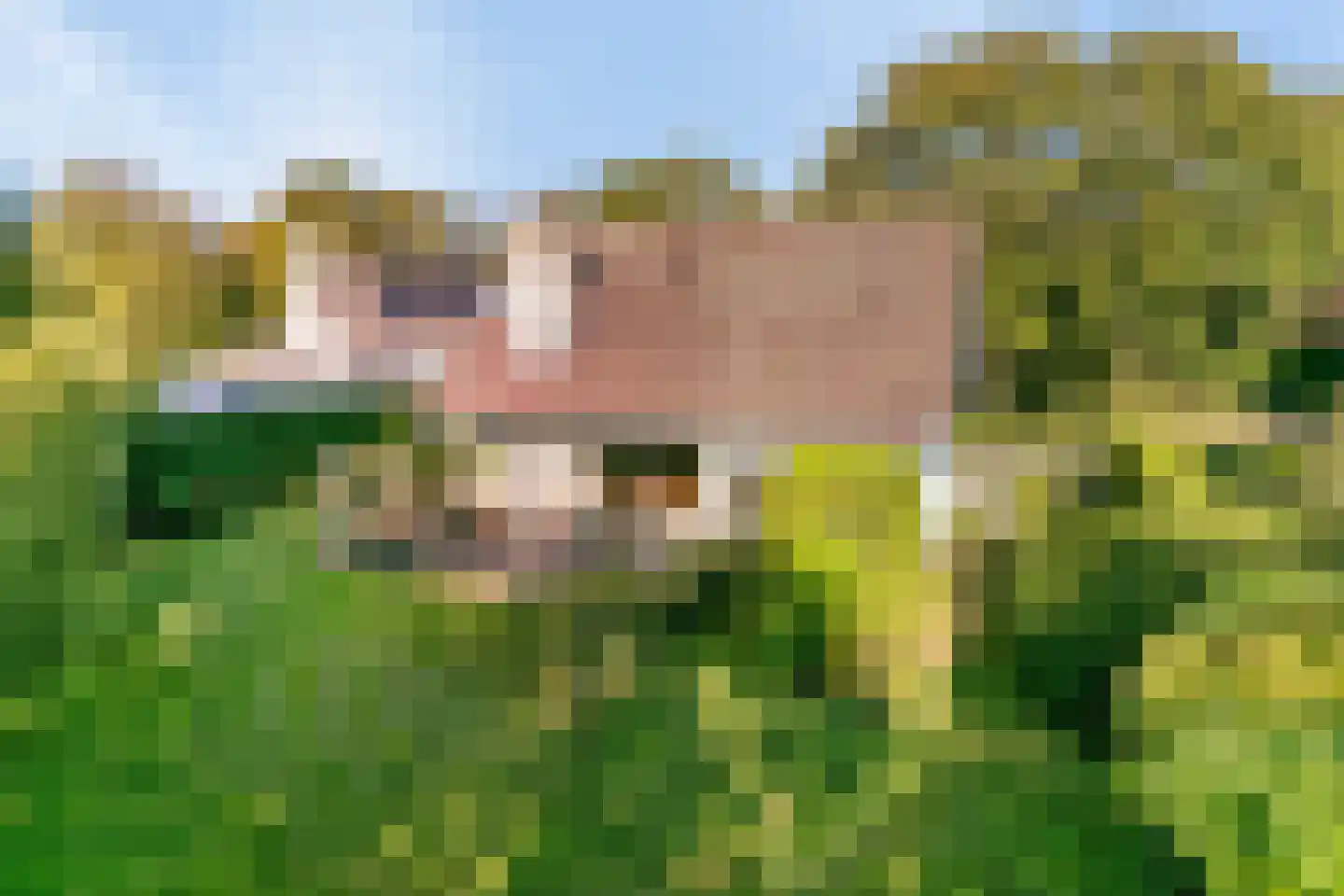 Eikenlaan 36 in Oostkapelle