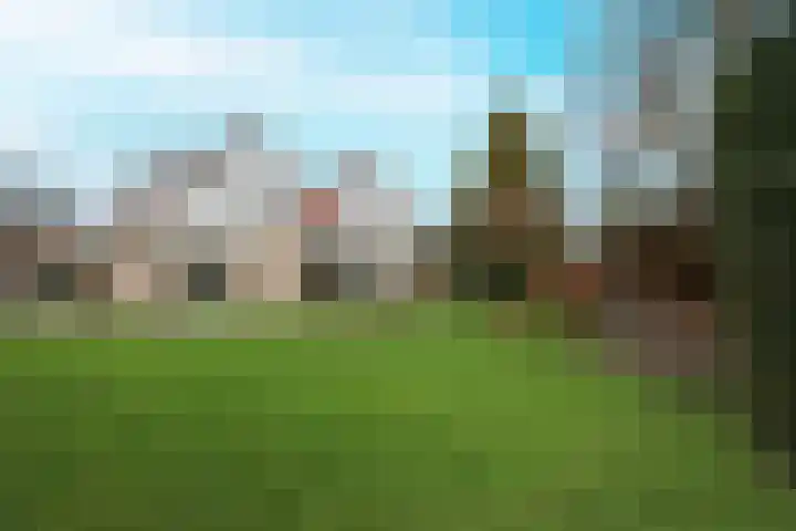 Eikenlaan 36 Dronten foto 2