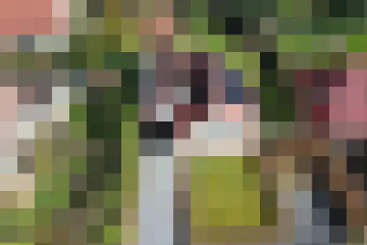Eikenlaan 36 Dronten thumbnail 5